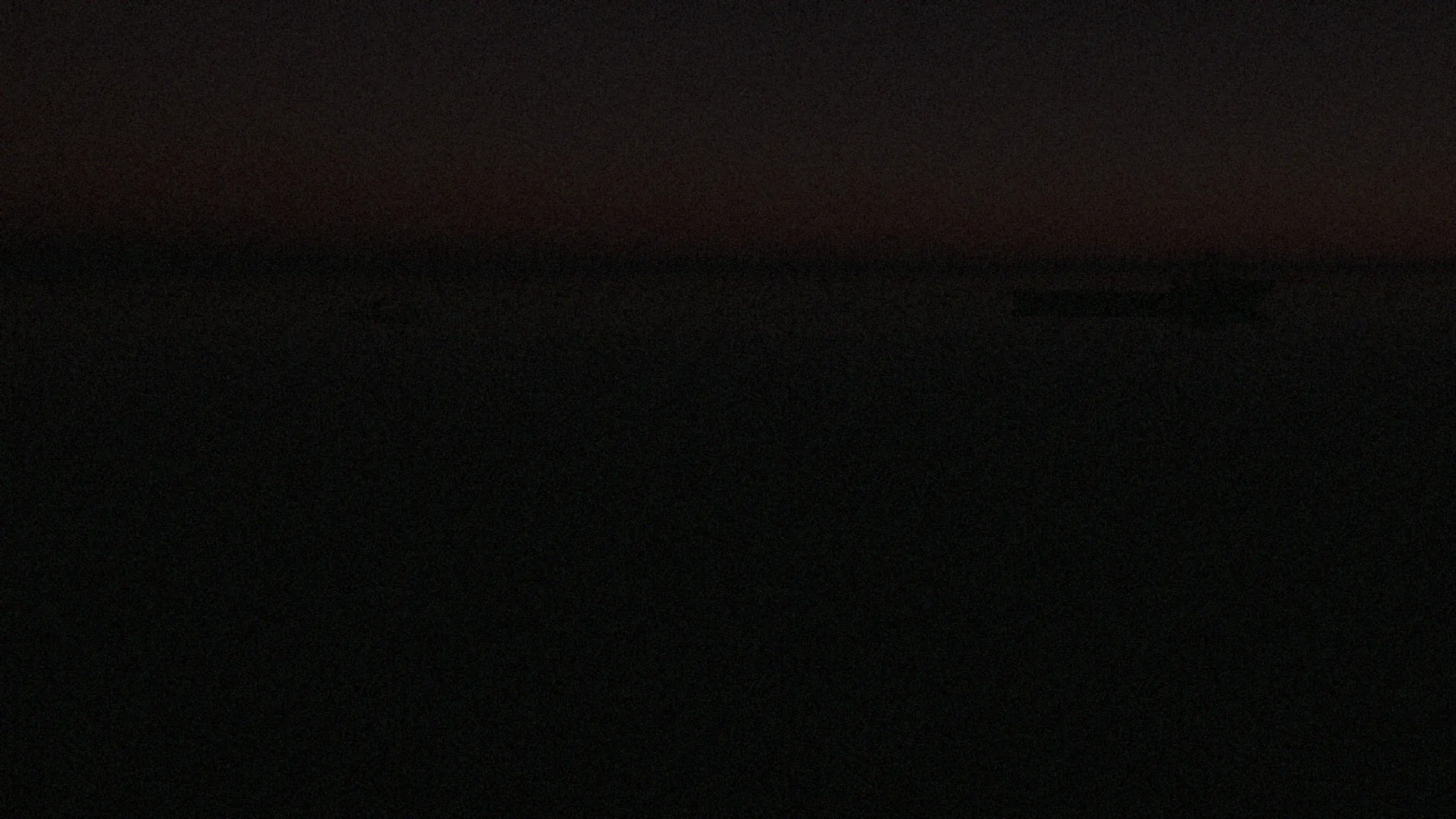 A bad input image where the vessels are barely visible